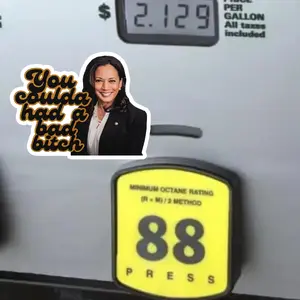 Kamala Harris You Coulda Had A Bad Bitch Die-cut Sticker , Sticker Collection