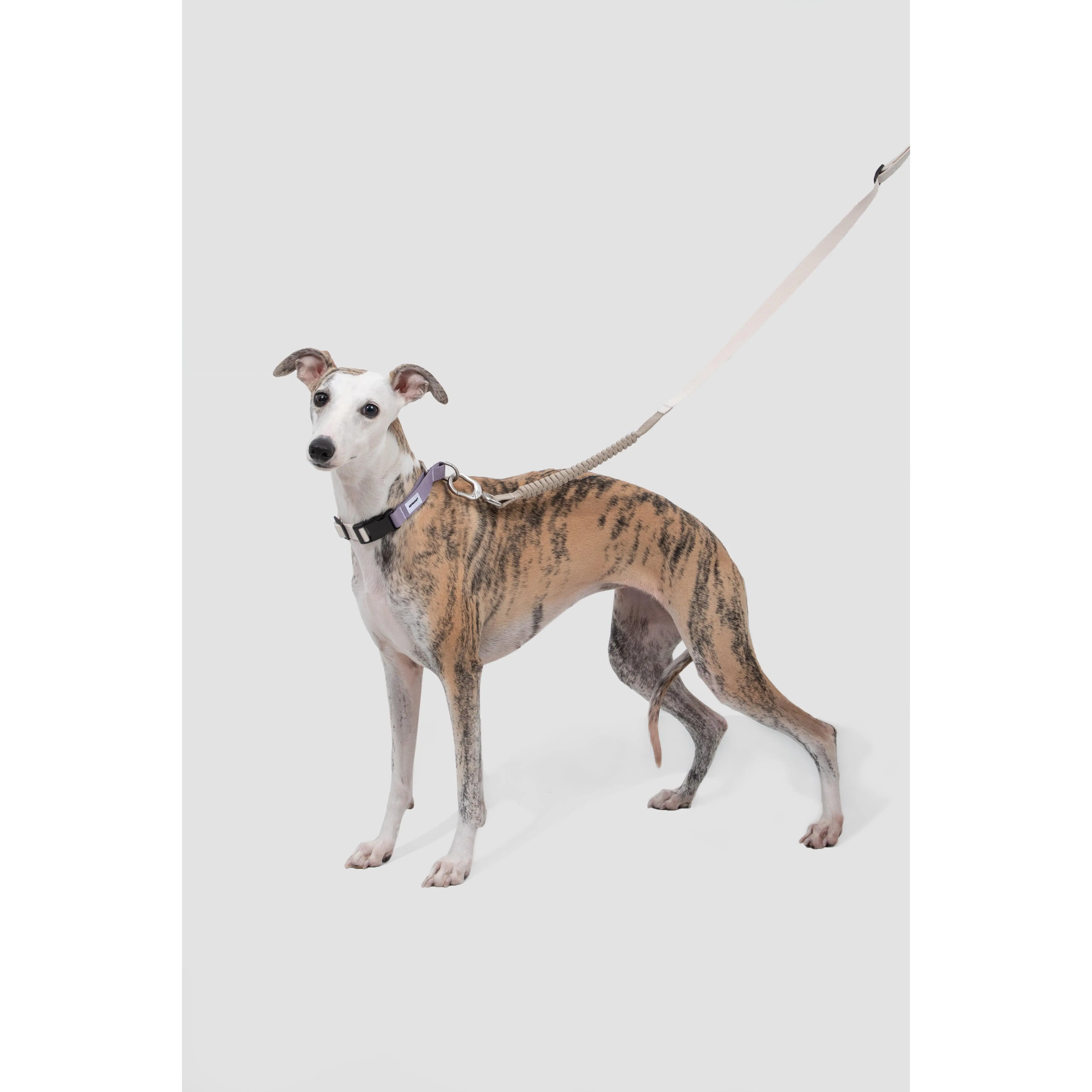 SteadyPace Control Collar