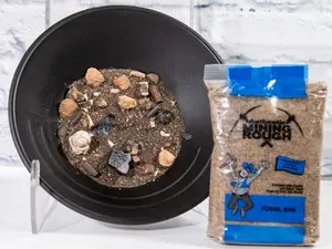 Fossil Mining Kit Blue Bag – 15 Fossil Variety Pack with Shark Teeth | Educational Dig Activity Set with Identification Guide