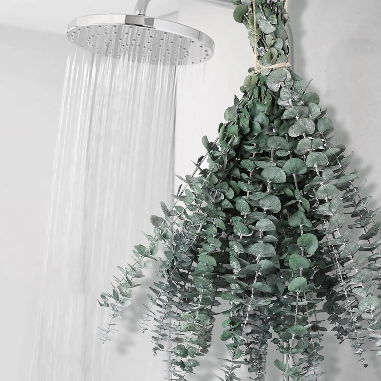 12 PCS Dried Eucalyptus Stems for Shower - 17" Preserved Eucalyptus Stems Shower Plant, Fresh Real Eucalyptus Leaves for Shower Hanging, Artificial Plants Arrangement, Home Decor, Dried Flowers