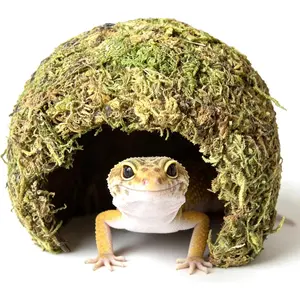 Snake  & Reptile Cave - Bearded Dragon Accessories & Leopard Gecko  Accessories - Coconut Moss Terrarium Decor & Reptile Supplies for Amphibian Habitats