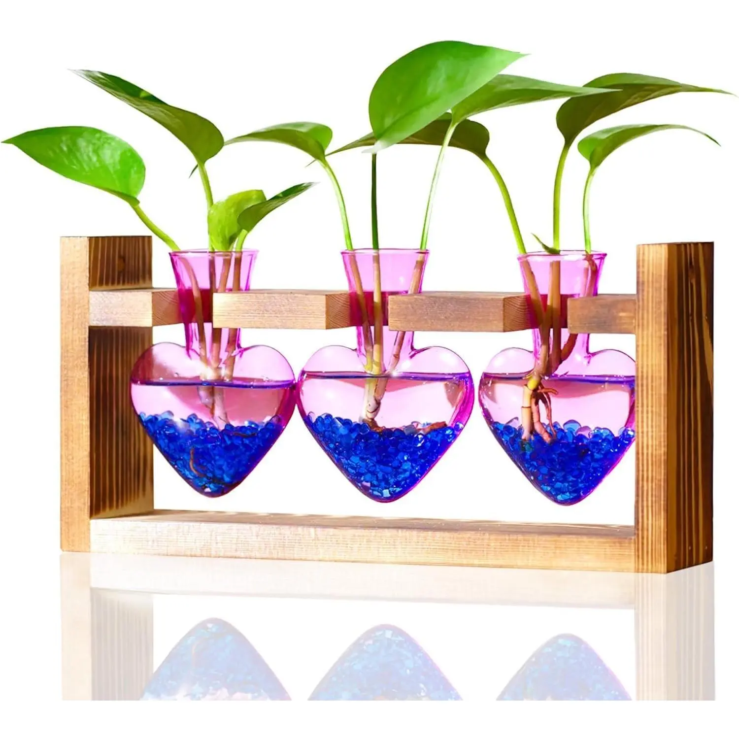 Terrarium for Office Decor: Birthday Gifts for  Lovers Women Mom Wife - Wooden Stand Tabletop Planter 3 Bulb Glass Vase Heart Shaped for Hydroponics Indoor (Purple)