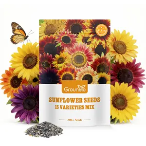300pcs Mixed-colored Sunflower Seeds for Plant, 15+ Varieties, 6' Feet Colored Sunflower, 1 Oz  Premium Seeds to Planting, for Outdoors, Garden, Attracts Pollinators