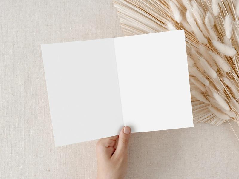 Black Cat Birthday Card for Animal Lovers Funny Birthday Card Cat Themed Gift Cute Cat Pet Greetings Cat in a Box Sarcastic Funny Cat Card