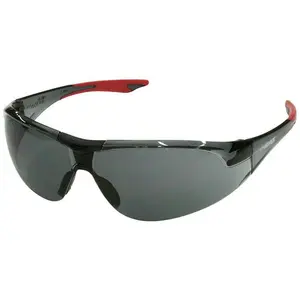 Delta Plus Avion Safety Glasses with Red Temples and Gray Lens