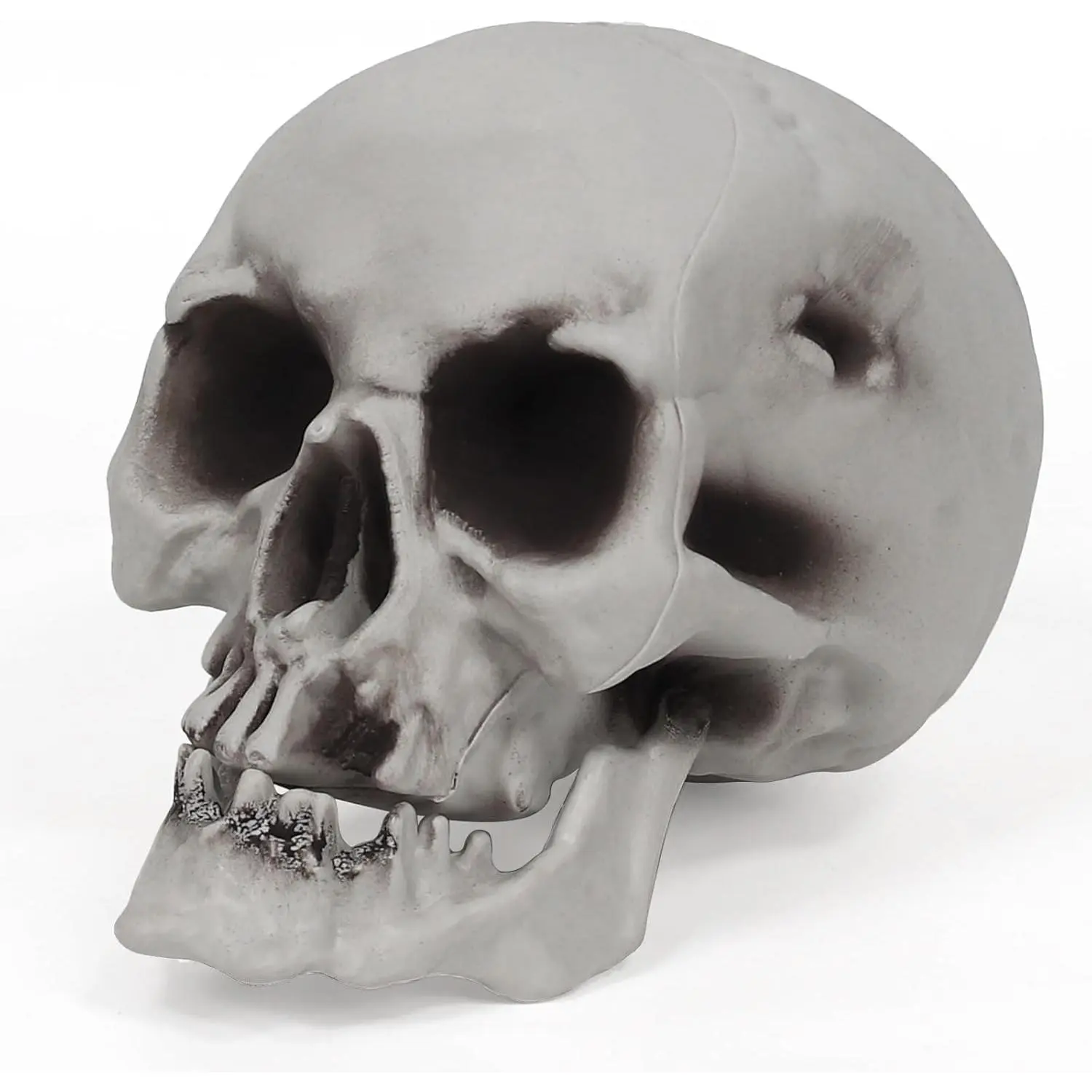 Human Skull Skeleton Life Size for Halloween Skull Model 1:1 Replica Plastic Skull  Graveyard Outdoor Decor