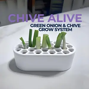 Scallion Regrowth Kit, Green Onion Growing Kit Indoor, No Soil Easy Grow Onion Planter, Fast Regrow Kitchen Herb Kit for Small Spaces, Home Gardening Starter Set