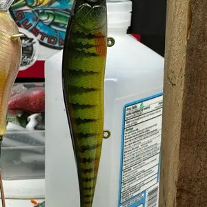 G-Dad Outdoors Custom Hand Painted Jerkbait