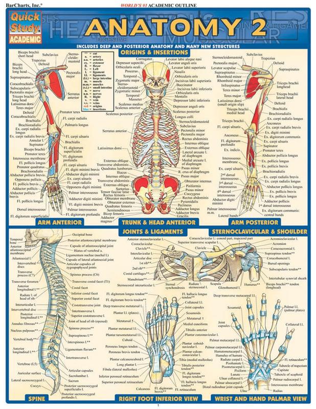 Anatomy 2 QuickStudy Laminated Reference Guide (QuickStudy Academic ...