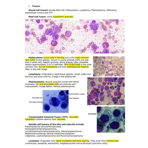 Comprehensive Clinical Pathology Vet Notes - BCSE and NAVLE Prep guide