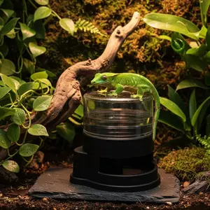 Automatic Watering Machine for Gecko Reptiles, Compact Design, Gravity-Fed Refill, Ideal for Lizards and Geckos, Space-Saving Pet Accessory