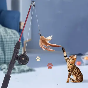 Funny Cat Stick, Fishing Rod-Style Pet Interactive Toy, Cat Stick Toy for Teasing Kitten, with Imitation Feather Toy
