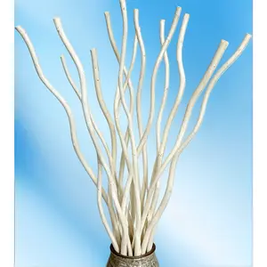 Natural Dry Curly Willow Stems White Decorative Dried Branches for Vase Display Wedding Party Rustic Farmhouse Home Ornament