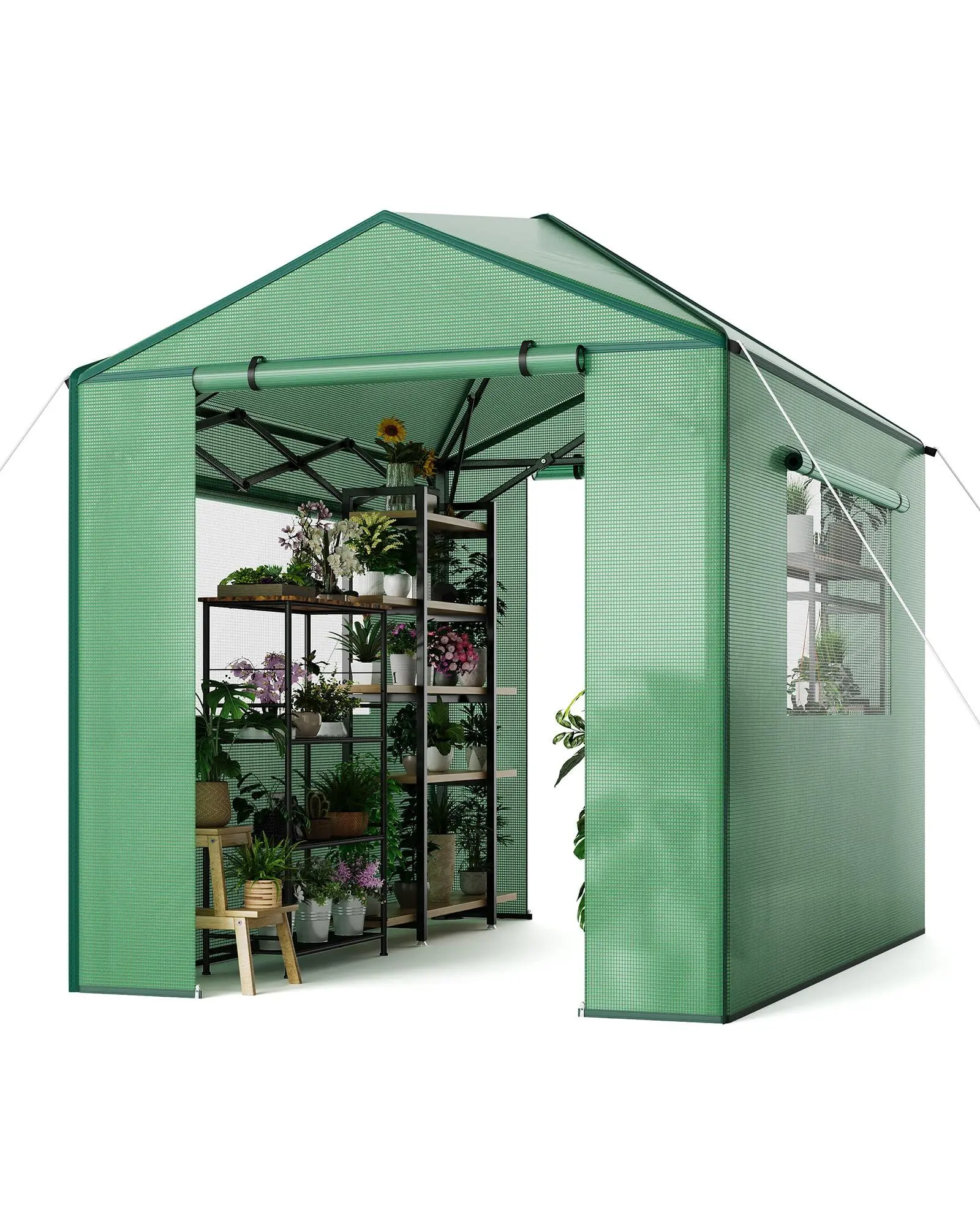 Gaomon 8x6 ft Sturdy Reusable Metal Frame Portable Walk-in Pop Up Greenhouse - Zippered Doors, Window, PE Cover, Easy Fold, Weatherproof, Durable and Sturdy, Extends Growing Season, Optimal Plant Growth for Backyard, Outdoor Patio
