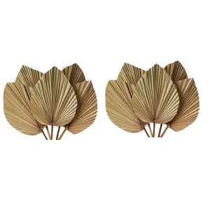 Dried Palm Leaves Room Decor 10 Pieces - 18Inch H X 10Inch W Large Natural Palm Leaf Decor for A Beautiful Boho Look