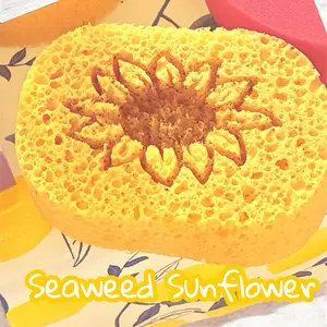 Oval Sponge soft textured seaweed custom asmr sponges