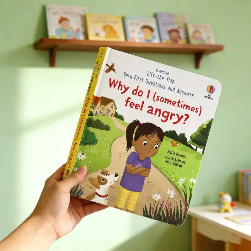 Why Do I Sometimes Feel Angry Interactive Flip Book, Picture Book, Emotion Management for Toddlers, Colorful Prechool Learning, Family Education & English Study, Early Reading Book, Toddler Books, Preschool Books, Kid Books