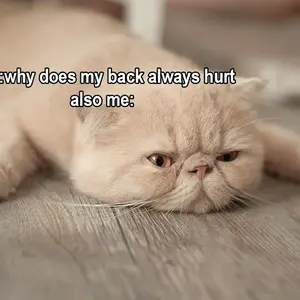 background preload poster image 