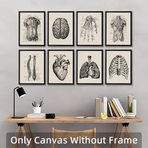Anatomy Pattern Unframed Painting, 8 Counts/set Human Anatomy Vintage Canvas Poster, Unframed Art Print, Modern Wall Art for Home Office Bar Hospital School Decoration
