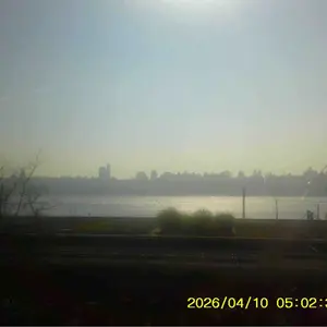 review image 4