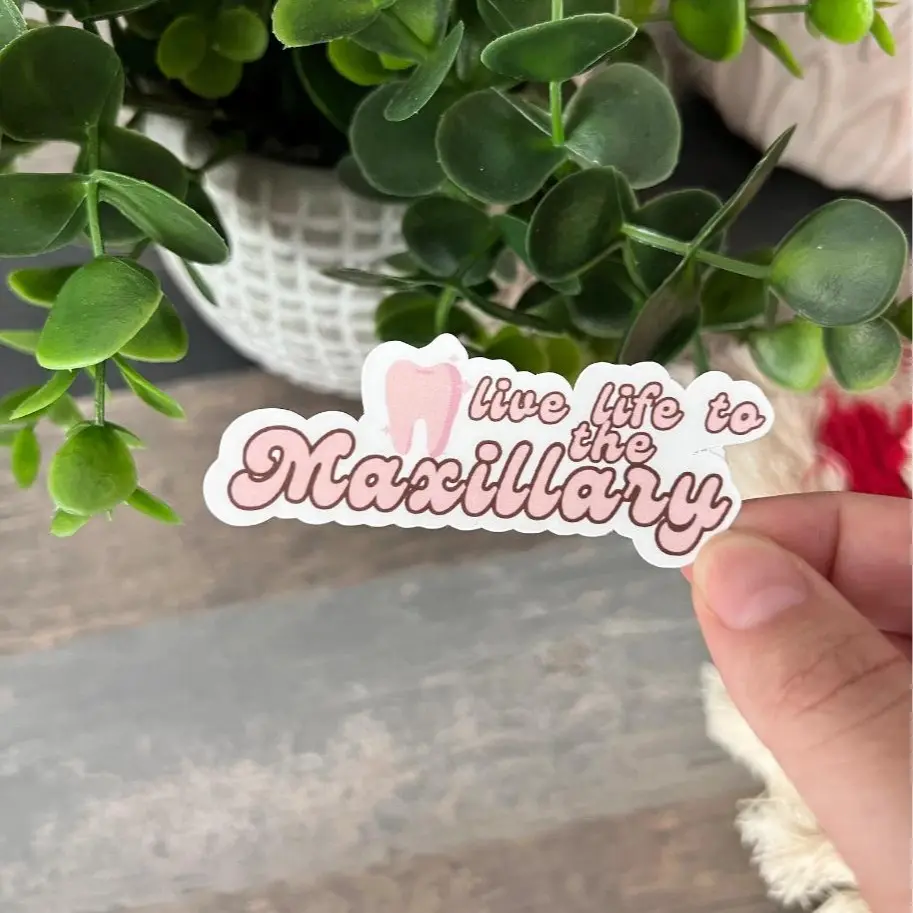 High-Quality Waterproof Material Dental Decorative Stickers - Modern, Flat, Funny, Laminate Matte Ornaments for Home Decor