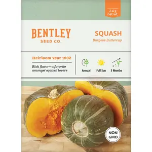 Squash, Buttercup Seed Packets