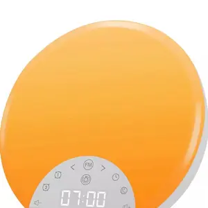 Sunrise Alarm Clock Wake Up Light for Kids, Adults, Heavy Sleepers with Dual Features, New Condition, Shipped with USPS Priority Mail Decor
