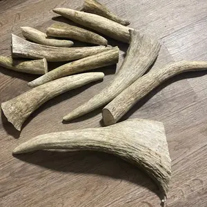 Moose Antler Knife Handle Material