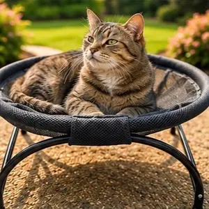 Elevated mesh lounge hammock for cats and small dogs