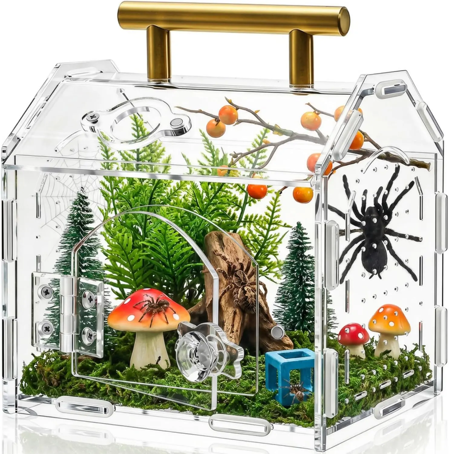 Spider Enclosure with Handle, Acrylic Reptile Habitat with One-Click Magnetic Closure, Front Opening Small Terrarium with Ventilation Holes for Tarantulas, Frogs, Gecko, Mantis