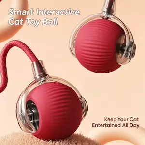 Mizusu Interactive Cat & Dog Teaser Toy with Two Additional Tails, Kitten Rolling Ball Toy, Pet Supplies, Dog & Cat Accessories Cute dog toys