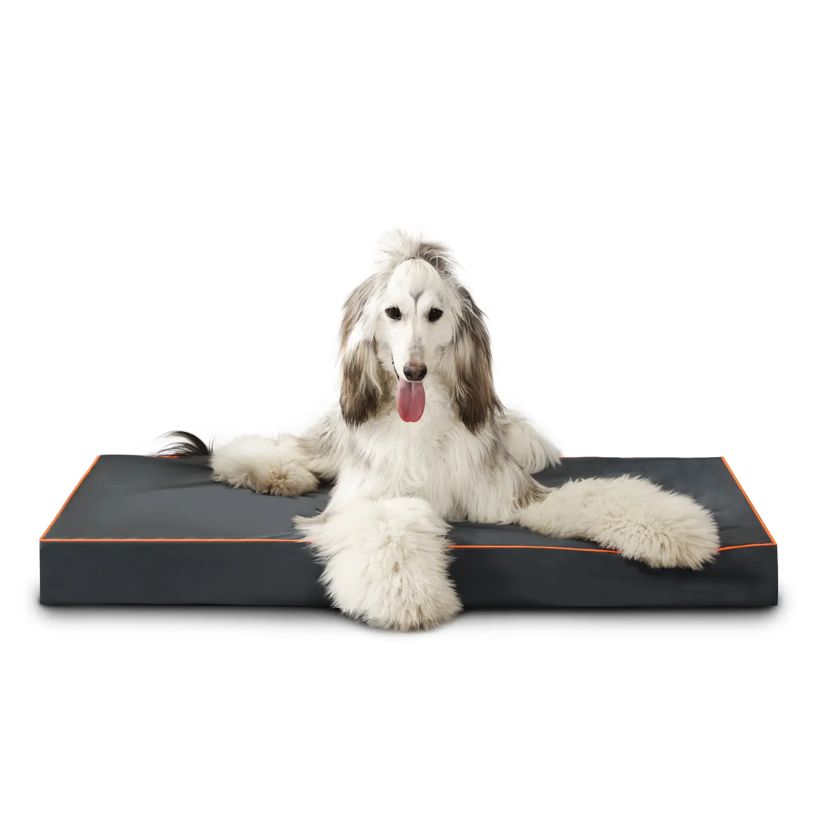 Laifug Outdoor Waterproof Dog Bed for Small Dogs (36'' X 27'' X 3'' Inch)- Dog Bed Washable, Jacket Fabric, Egg Orthopedic Foam Pet Dog Bed, with Removable Durable Cover and Non-Slip Bottom