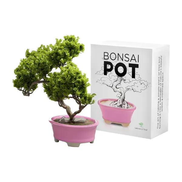 Glazed Ceramic Bonsai Pot - Decorative Planter for Dwarf Trees, Succulents, Small Plants - Pink Oval Container Perfect for Indoor and Outdoor Gardens, Table Centerpieces and Windowsill Decor