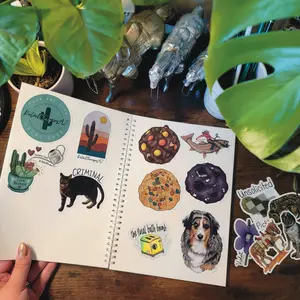 Reusable Sticker Collection Book