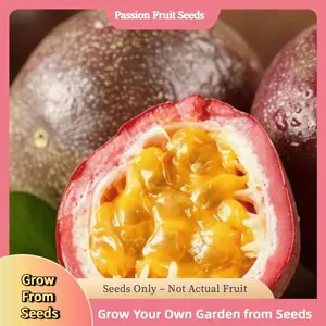 100 Pcs Passion Fruit Seeds – Non-GMO Tropical Climbing Vines for Home Gardens & Outdoor Planting(Seeds Only)