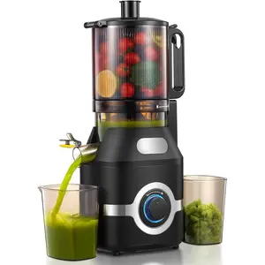 Juicer Machine with Large Feed Chute, Slow Masticating juicer with Dual Safety Locks - Easy to Clean, Detachable , Fruit & Veggie Juicer for