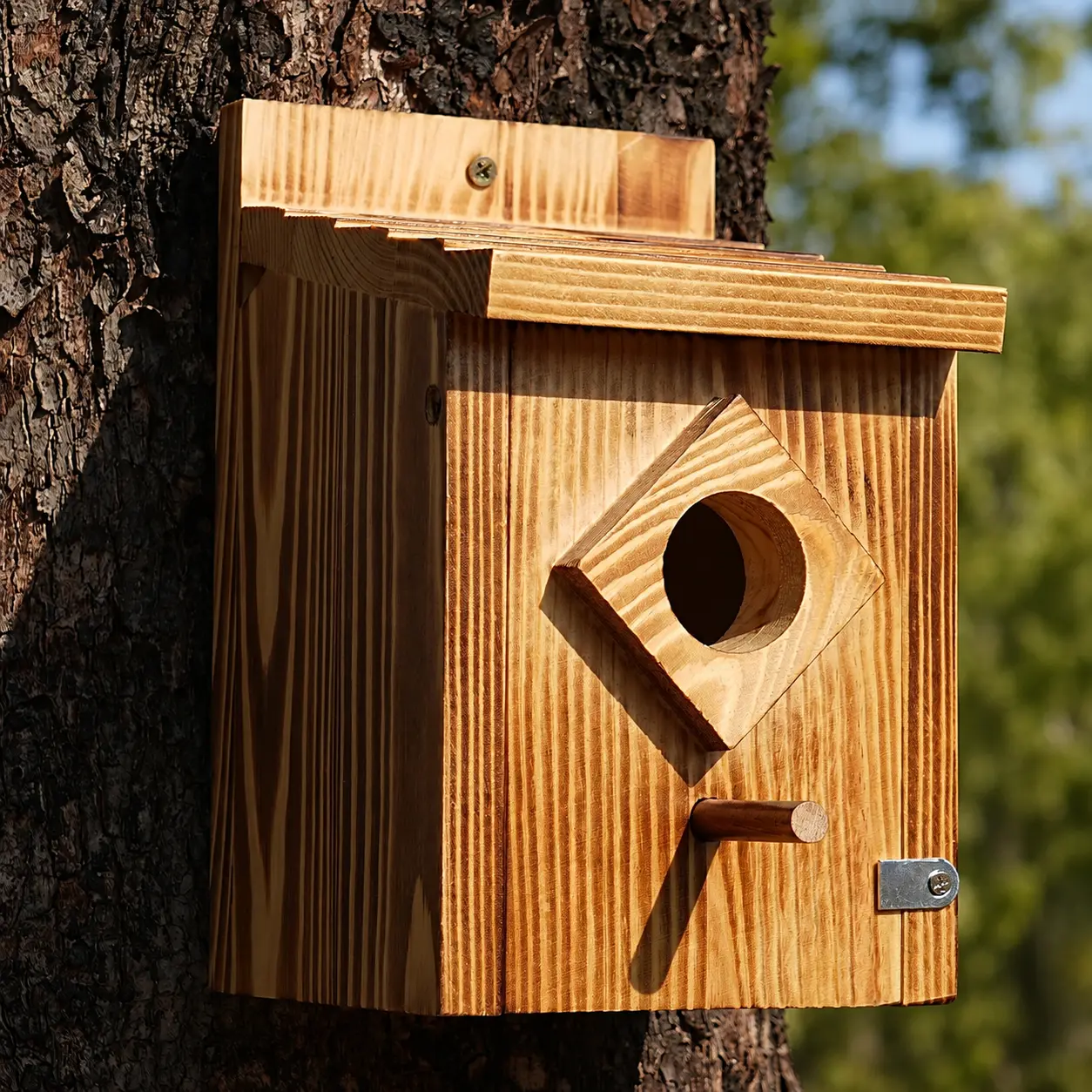 Weather-Resistant Wooden Bluebird House, Outdoor Nesting Box for Bluebirds, Wrens, Swallows, Finches & Chickadees