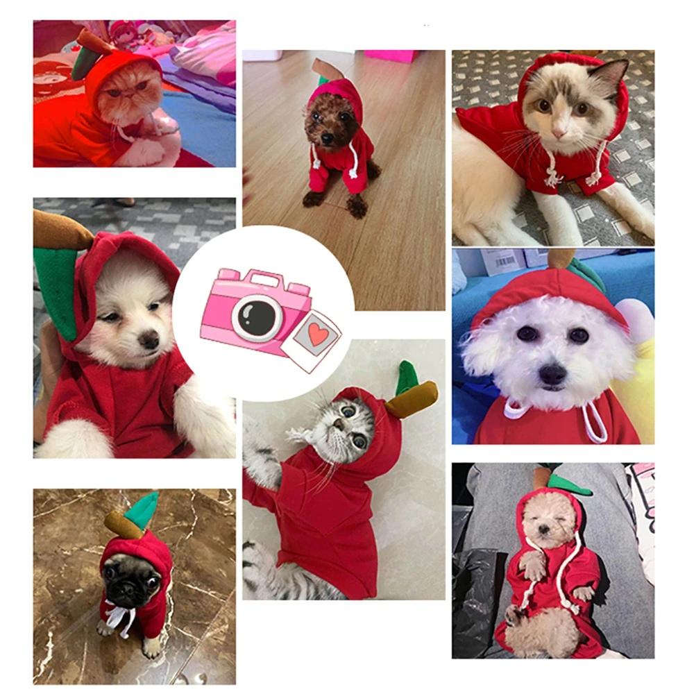 Cute Fruit Dog Clothes For Small Dogs Hoodies Winter Warm Fleece Pet Clothing Puppy Cat Costume Coat For French Chihuahua Outfit Cute Fruit Dog Clothes For Small Dogs Hoodies Winter Warm Fleece Pet Clothing Puppy Cat Costume Coat For French Chihuahua Outfit