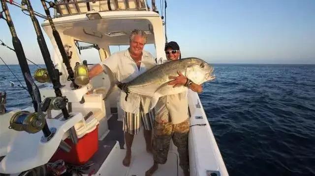 25pcs/set Multi Section Fish Top Water Propeller Bait Simulation Duck Decoy Frog Accessory Set for Sea Bass Freshwater Fishing