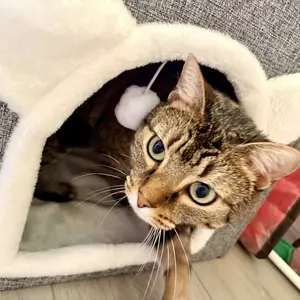 Foldable Cat House for Indoor Cats, 2-Story Cat Cube Condo with Built-in Sisal Scratching Pad & Hanging Toy Ball, Sturdy Cat Bed Hideaway Apartment Box for Large Cats up to 30 Lbs round window lovers decor reversible cushion