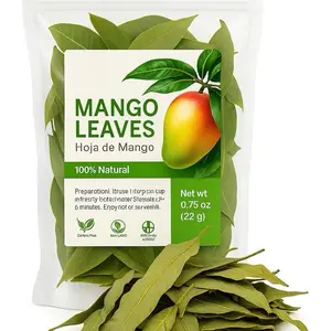 Mango Leaves Premium Hoja de Mango Herbal Tea Bag – Supports Digestion & Provides Antioxidant Properties – Naturally Caffeine-Free Beverage