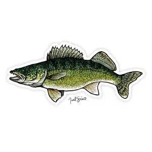 Walleye Decal Walleye Decal