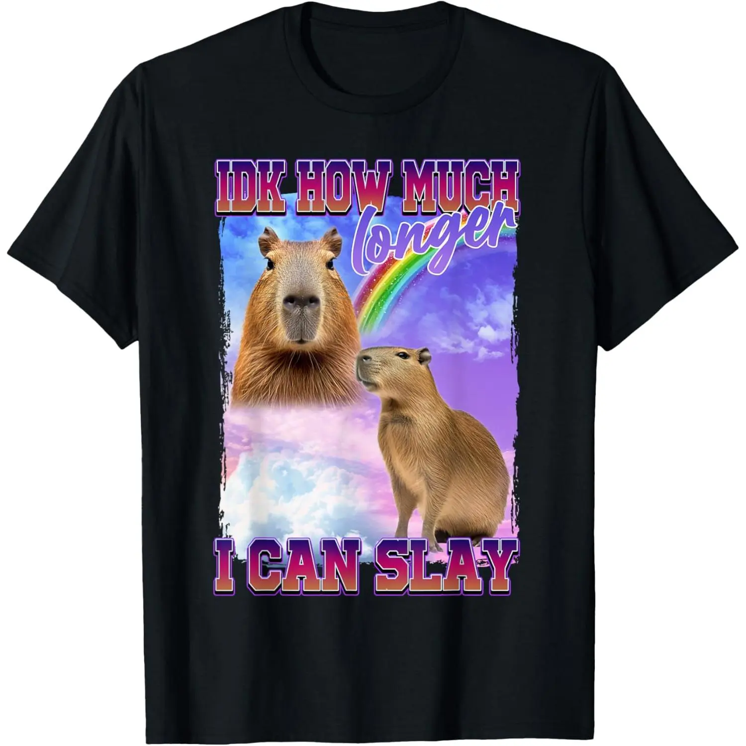 Capybara 'I Can Slay' Meme Graphic T-Shirt, Women's Casual Distressed Cotton Funny Short Sleeve Top, Shortsleeve, Streetwear