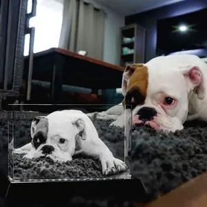 3D Laser Crystal Brick | Personalized Engraving | Custom Photo Laser Etched Gift