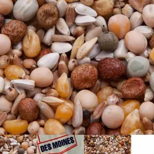 King 45-pigeon Food - 10lb 17%