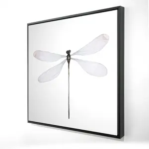 Begin Home Decor 2081-2424-AN460 24 x 24 in. Minimalist Dragonfly Canvas - Animal Bedroom Framed Decor
