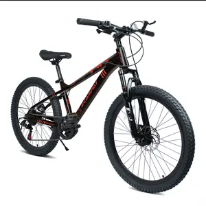 24 Inch 21 Speed Mountain Bike, Adult Mountain Bicycle with Front Suspension, Dual Disc Brakes, Steel Frame, Non-Slip Tires for Men Women Outdoor Cycling