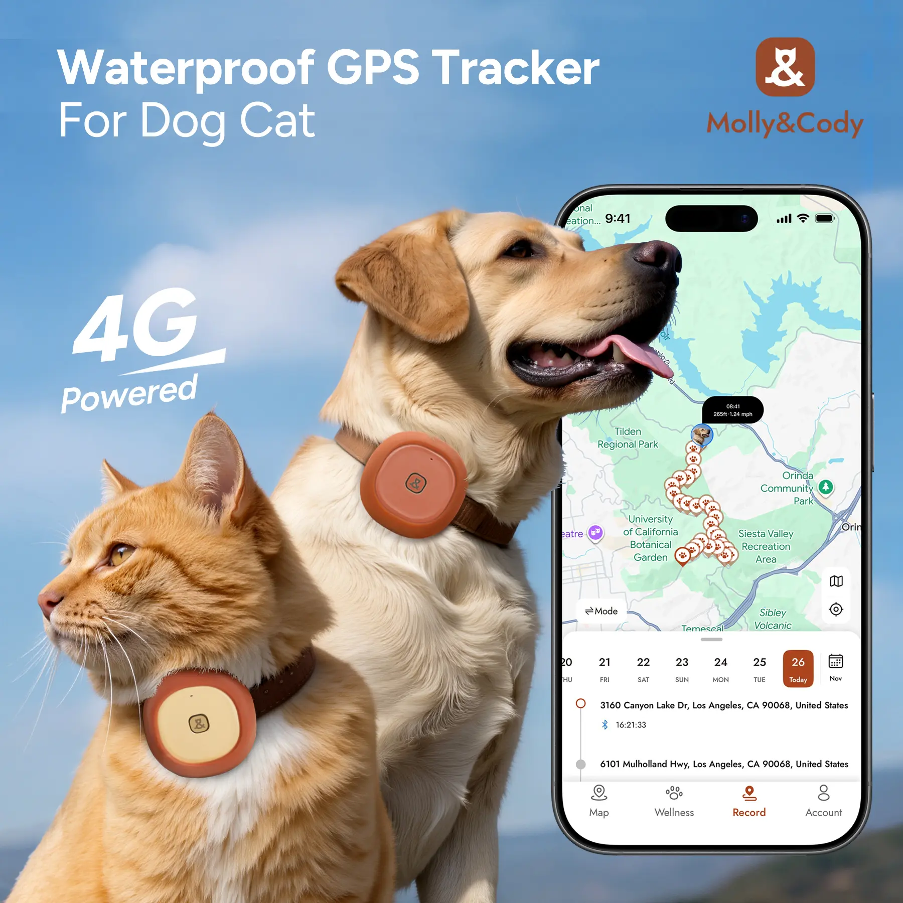 #Summervibes #petlovers Molly&Cody GPS + Bluetooth Pet Tracker for Cats & Dogs – Real‑Time Tracking, Virtual Fence, IP67 Waterproof, Health Monitoring, iOS/Android – Subscription Required Gps Wifi Bt Wireless Tag Gps Signal Protector Gps Sensor