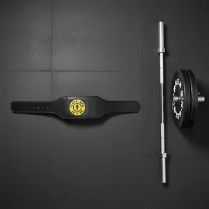 Gold's Gym Weight Lifting Belt – Padded Leather Support – Size S/M (22–33")