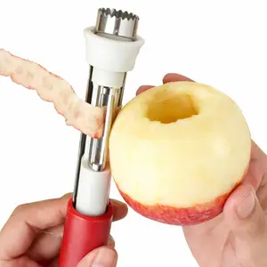 2-in-1 Apple Corer & Peeler – Stainless Steel Fruit Core Remover for Apples, Pears & More
